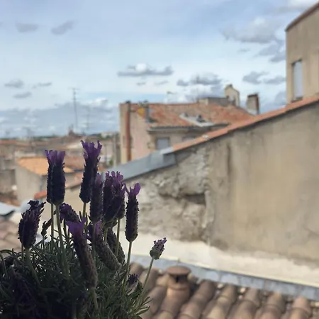 Boutique With Rooftop View At Historic Centre Self Check-in Air Cooler And Wifi Монпелье